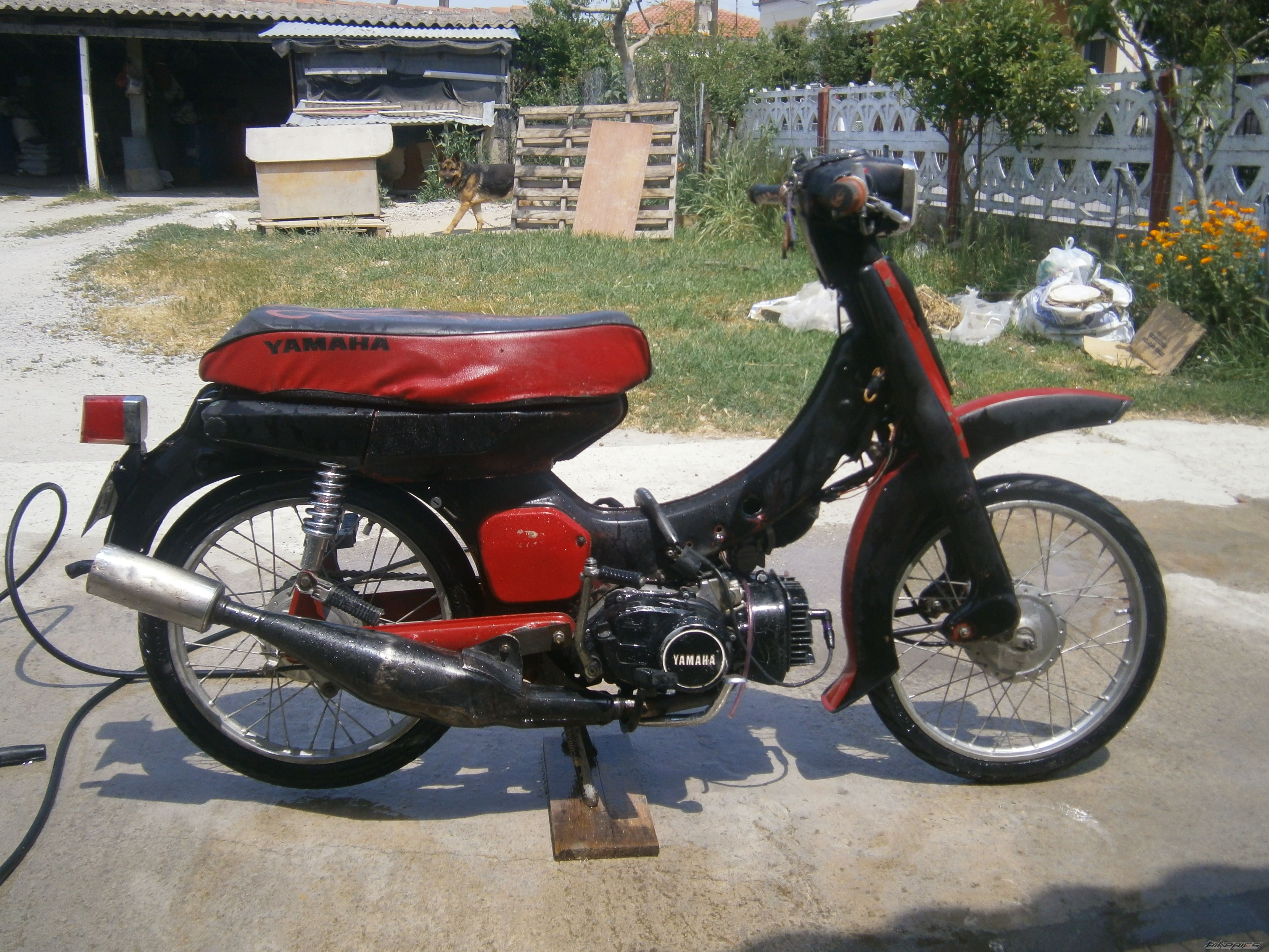 Bike Photo 2552288