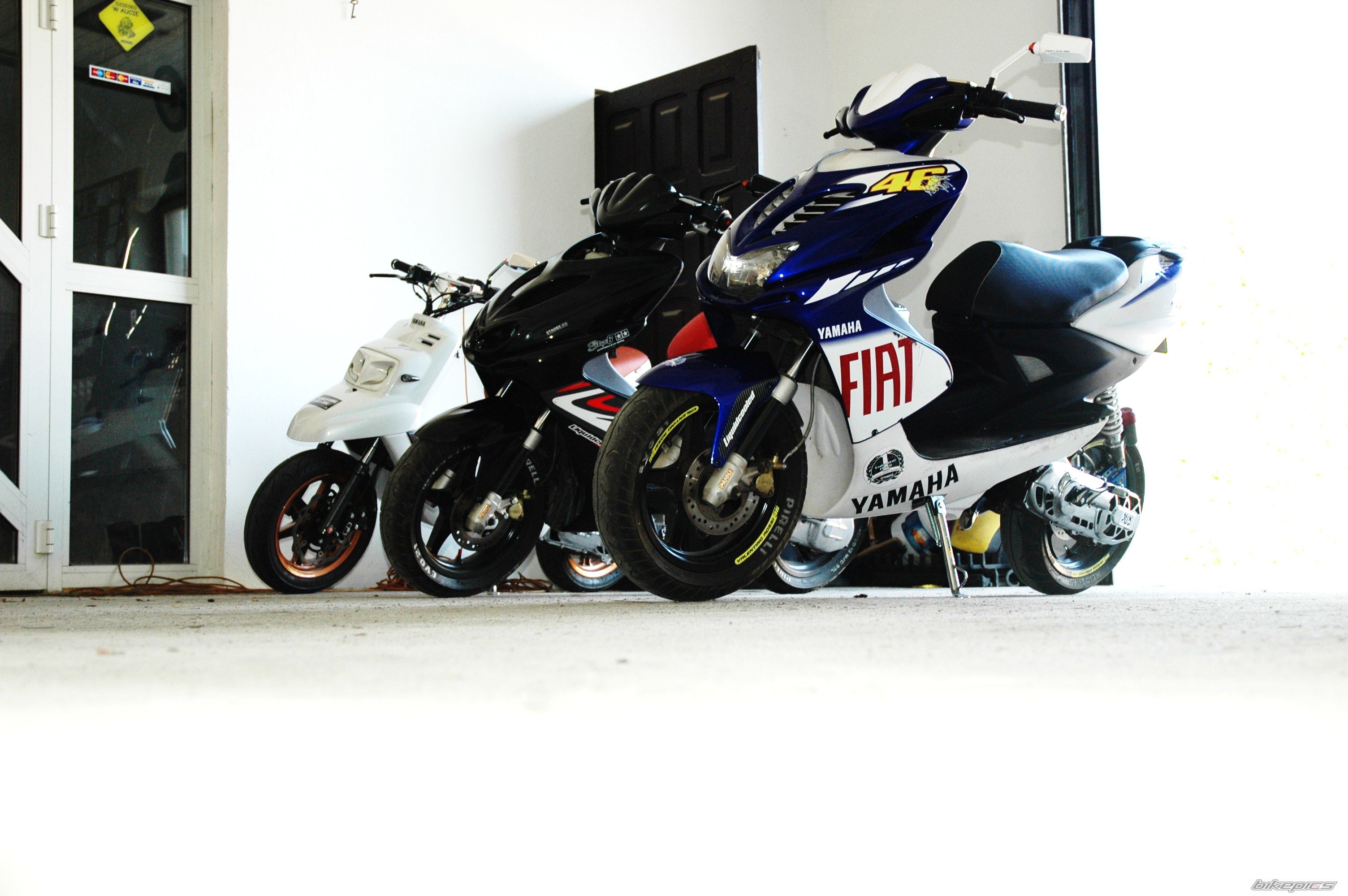 Photo 2552377