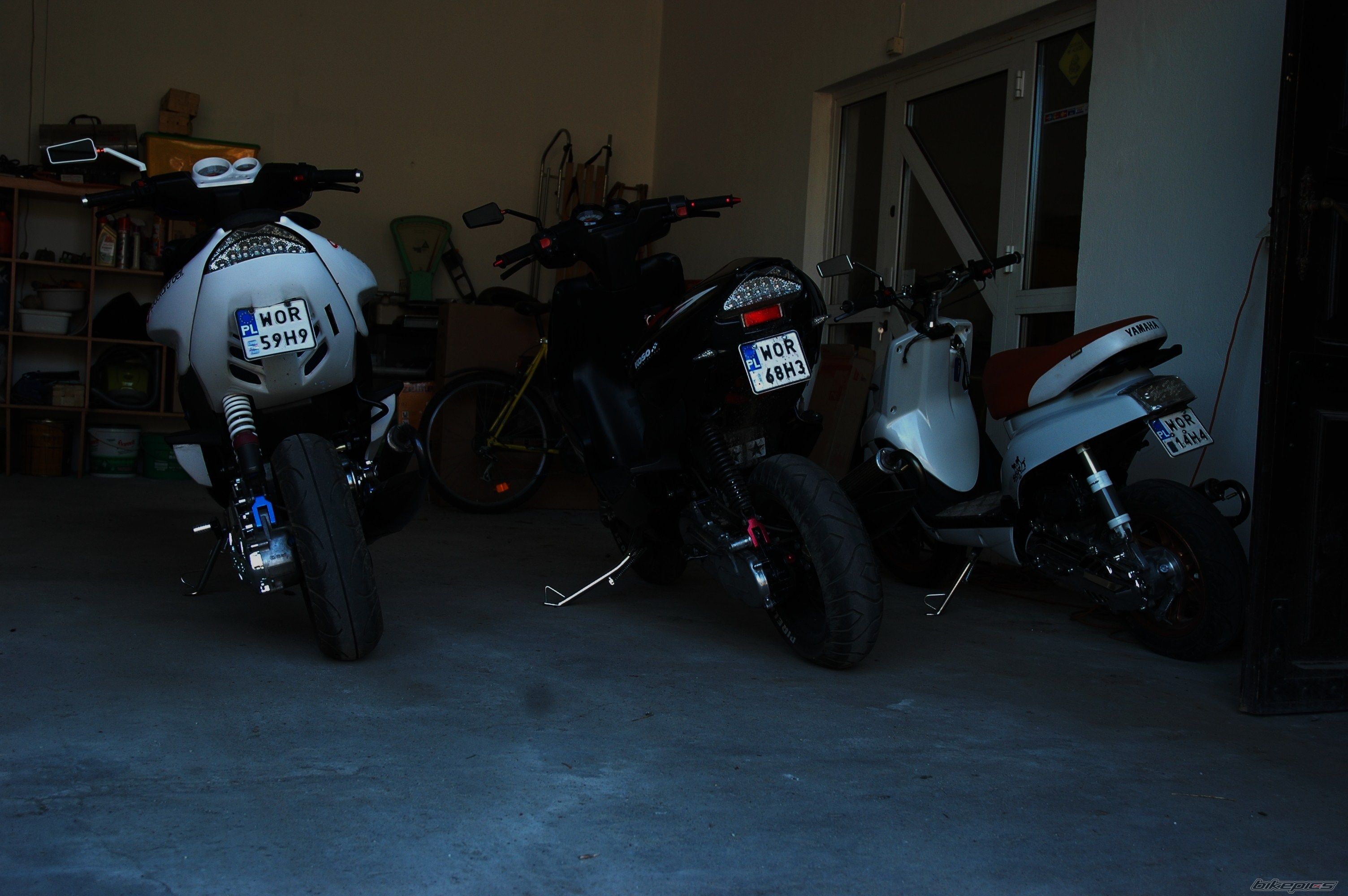 Photo 2552379