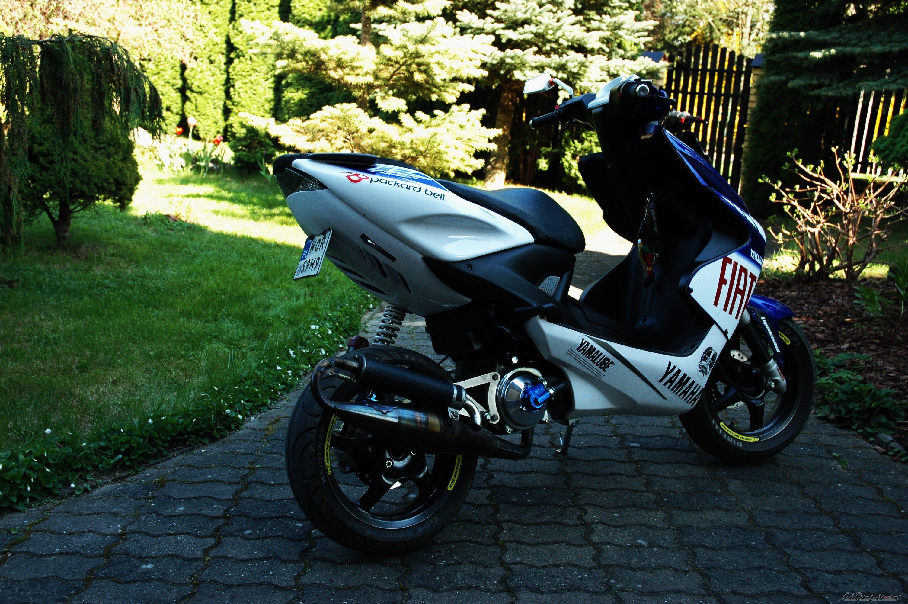 Photo 2552381