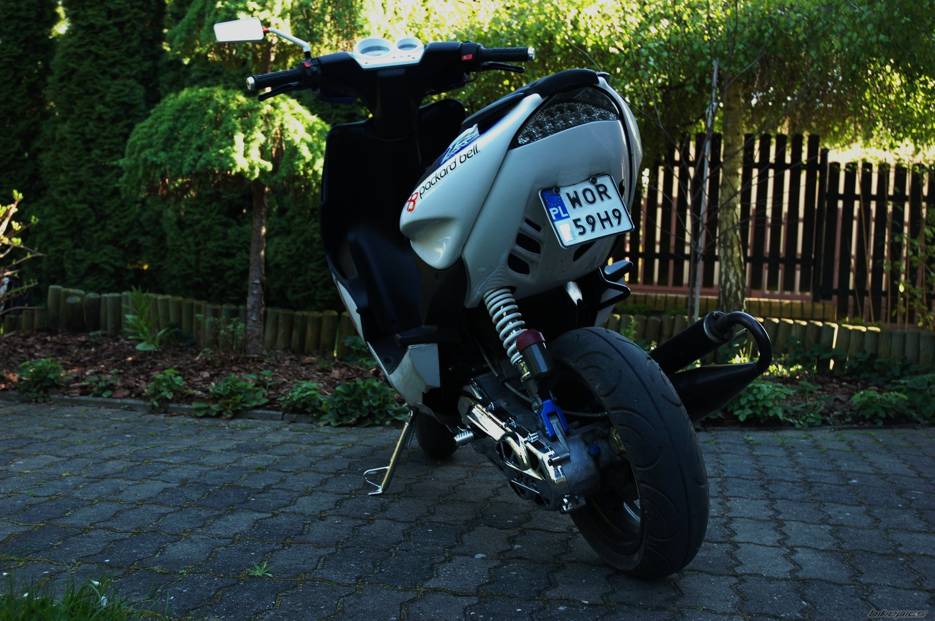 Photo 2552382