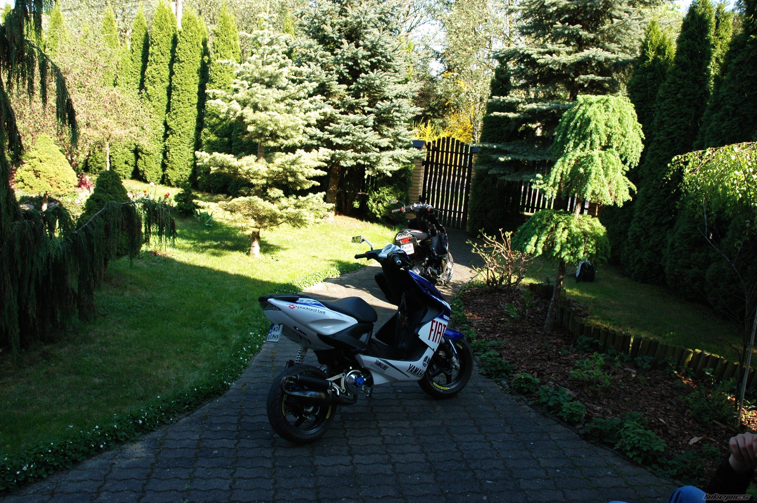 Photo 2552386