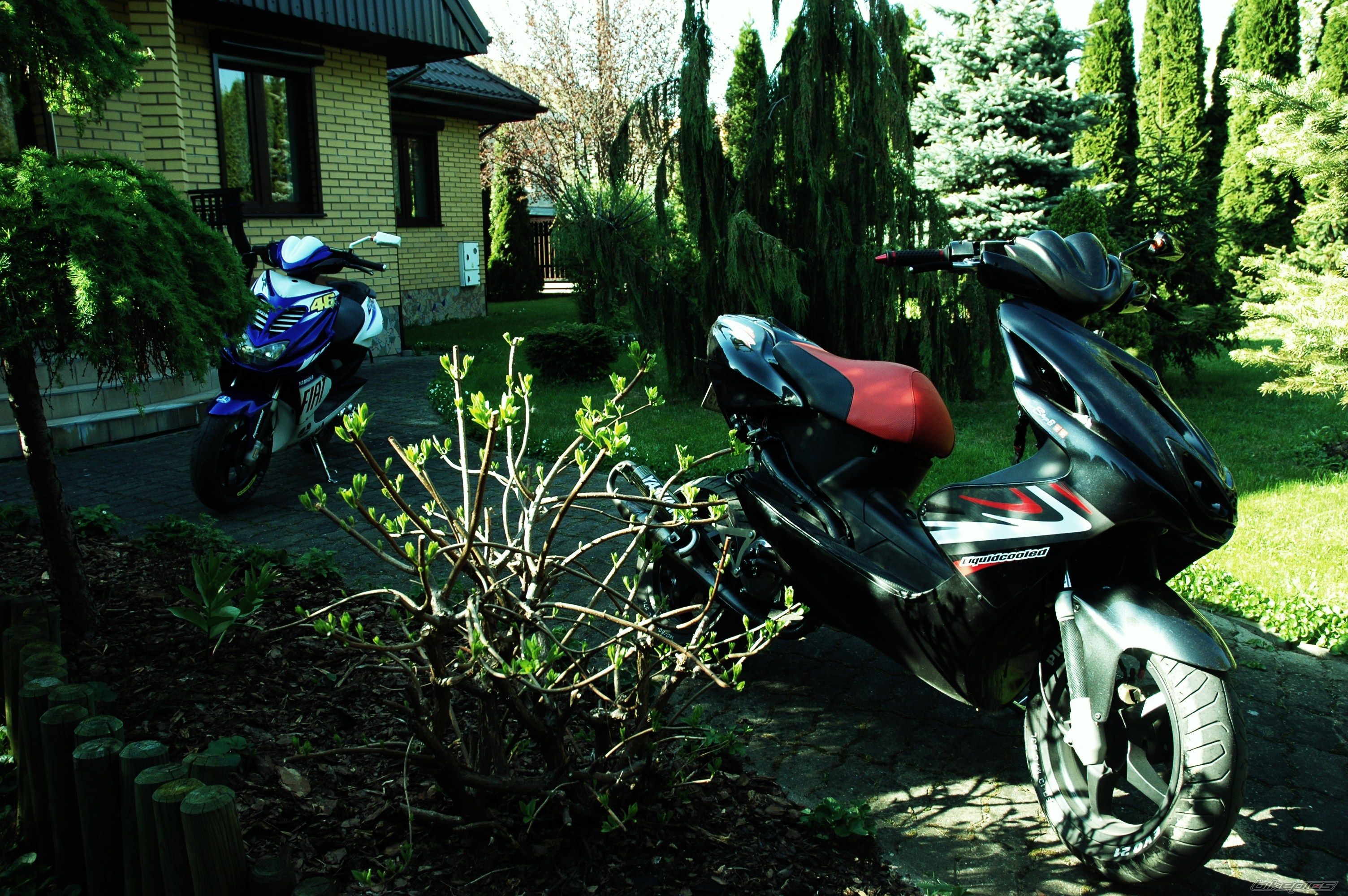 Photo 2552392