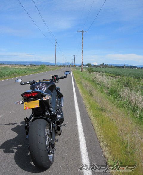 Photo 2552511