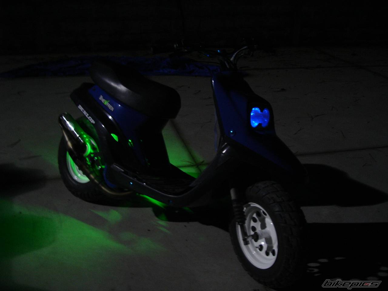 Photo 255253
