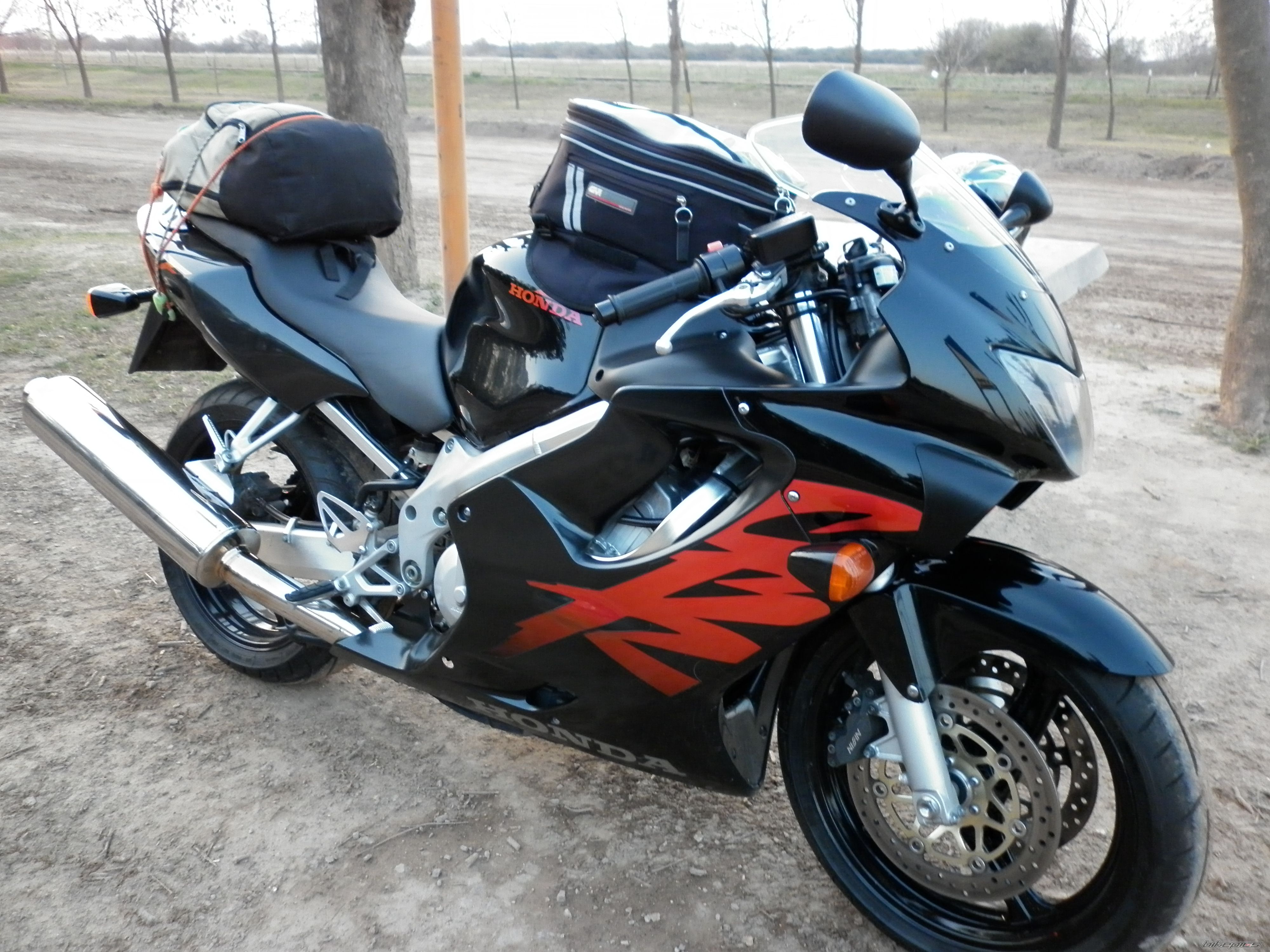 Photo 2552537