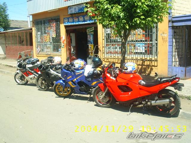 Photo 255258