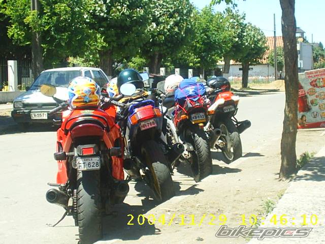 Photo 255260