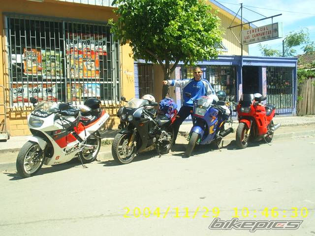 Photo 255261