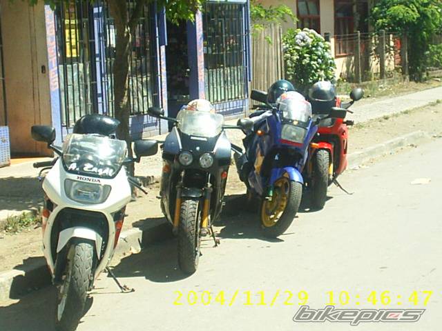 Photo 255262