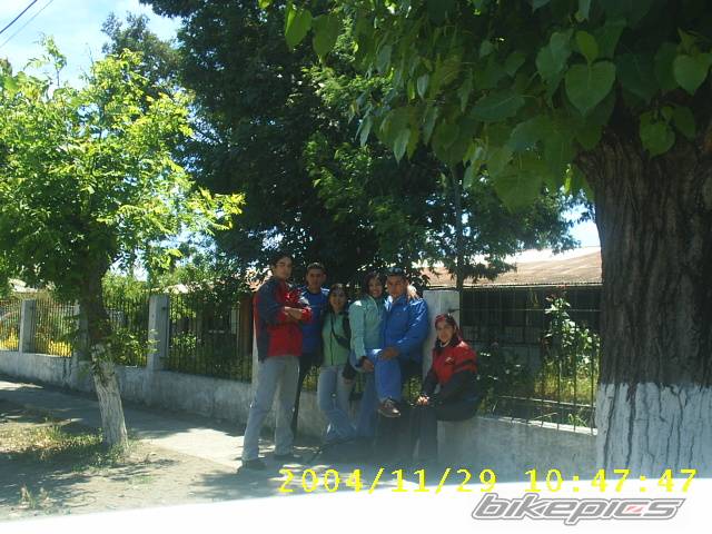 Photo 255263