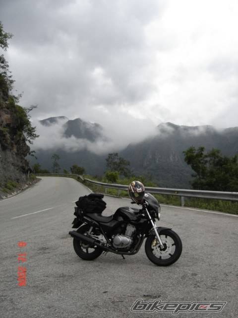Bike Photo 255271