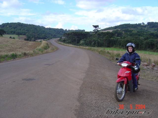 Photo 255281
