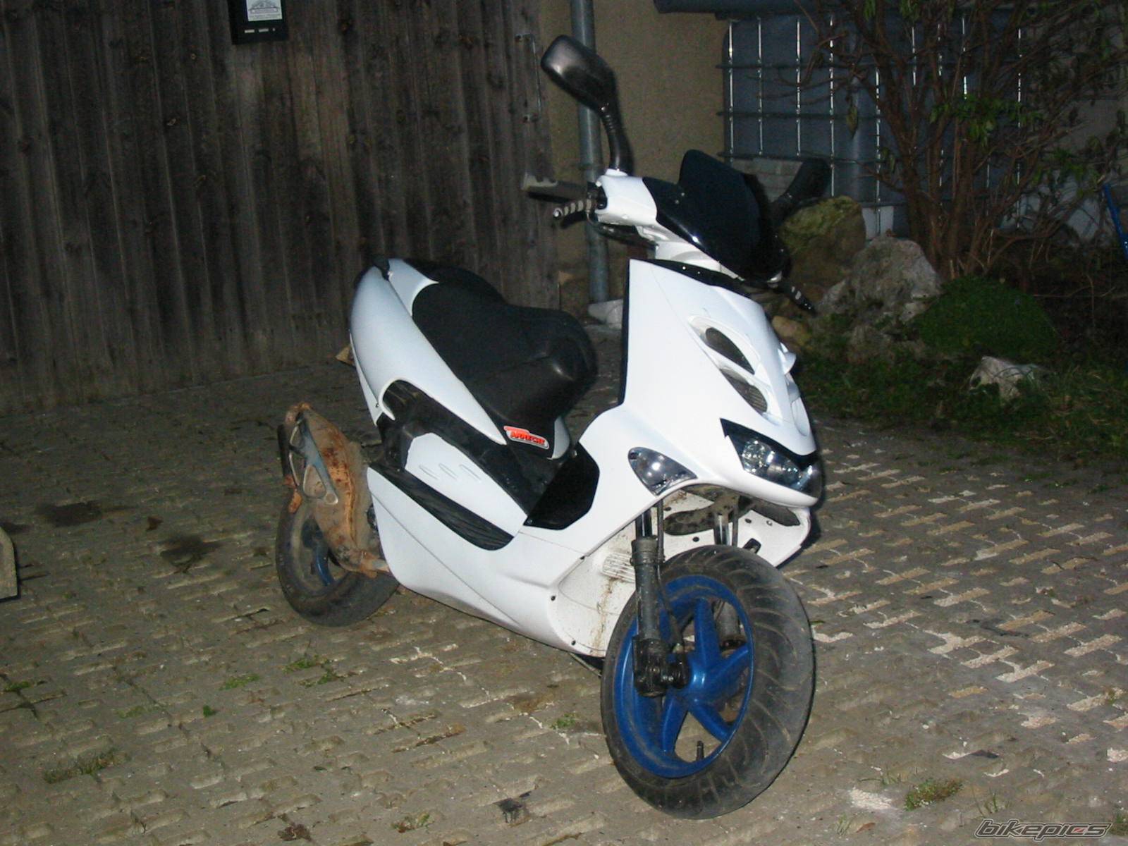 Photo 255284