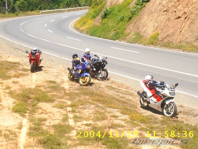 Photo 255286