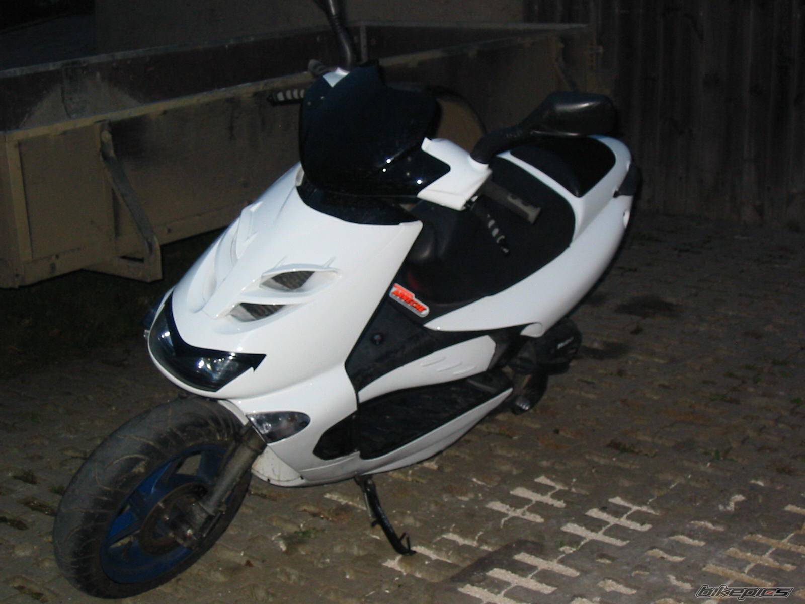 Photo 255288