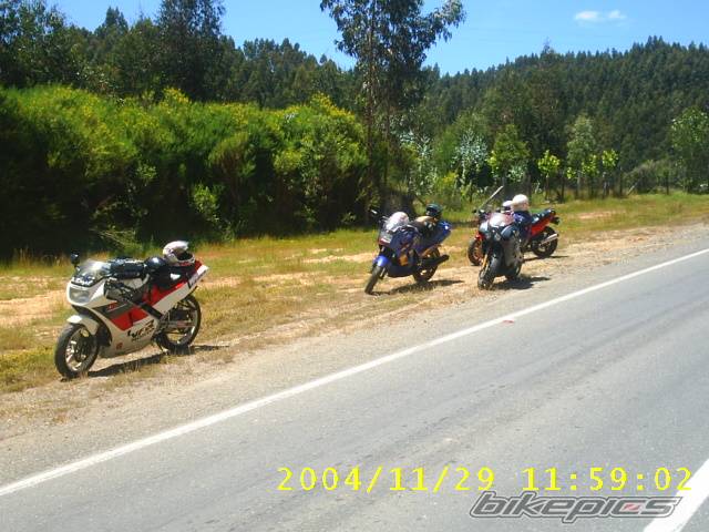 Photo 255290