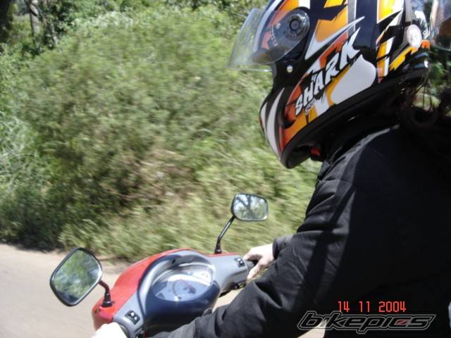 Photo 255292