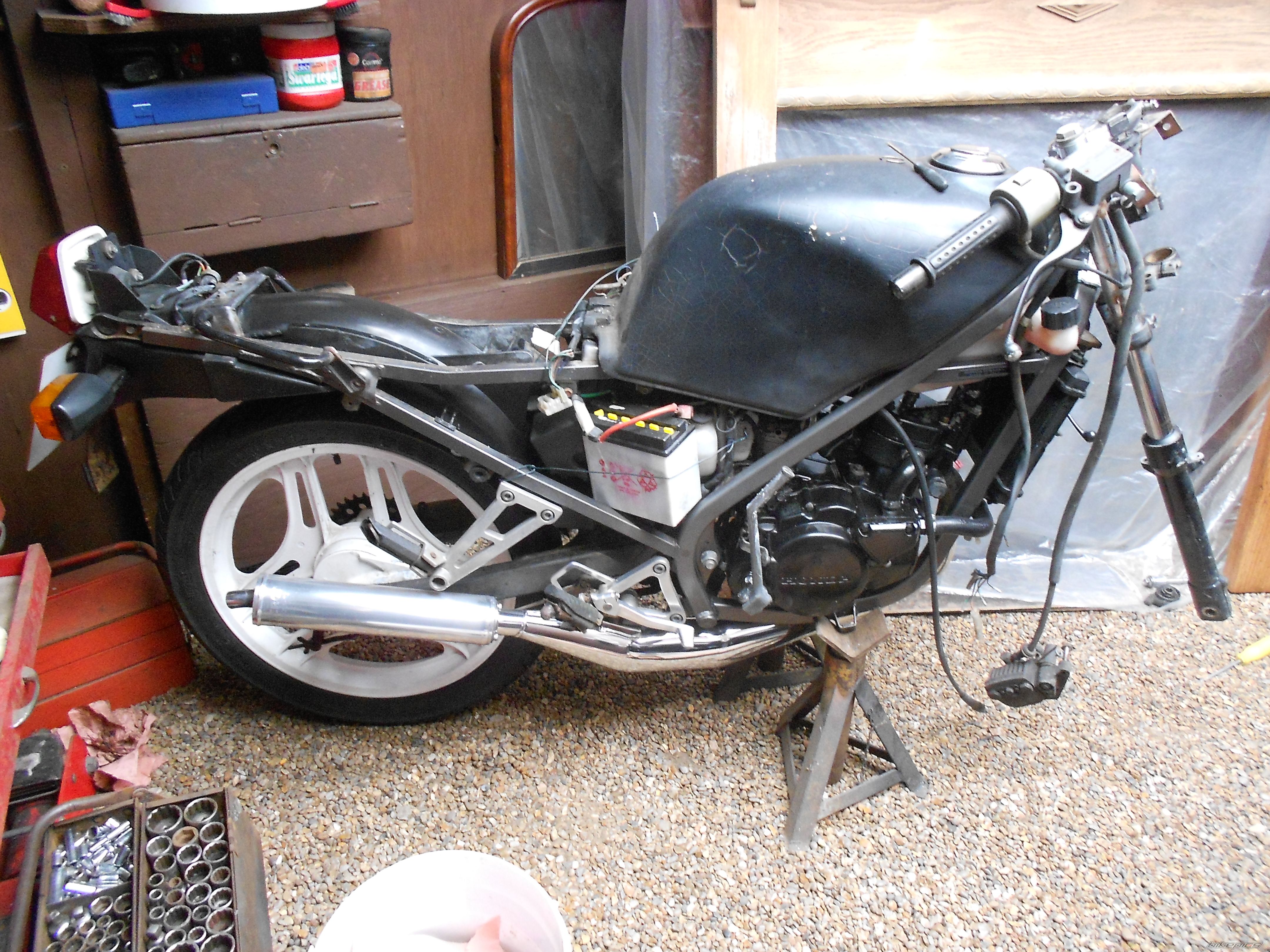 Photo 2552940