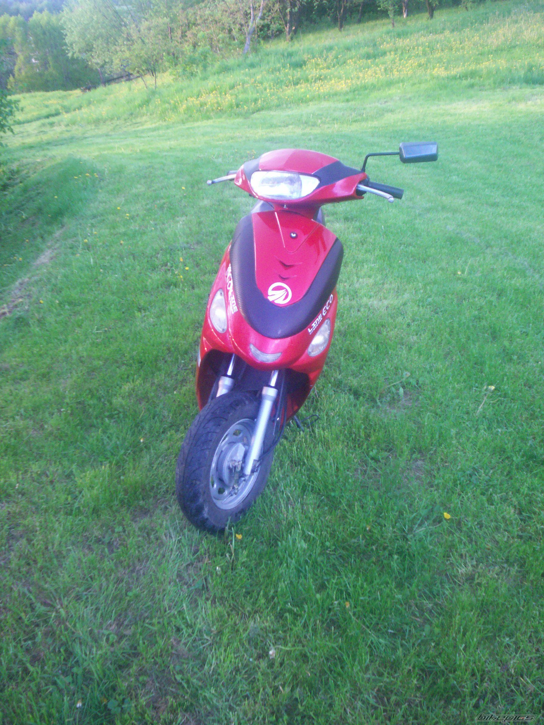 Photo 2552944
