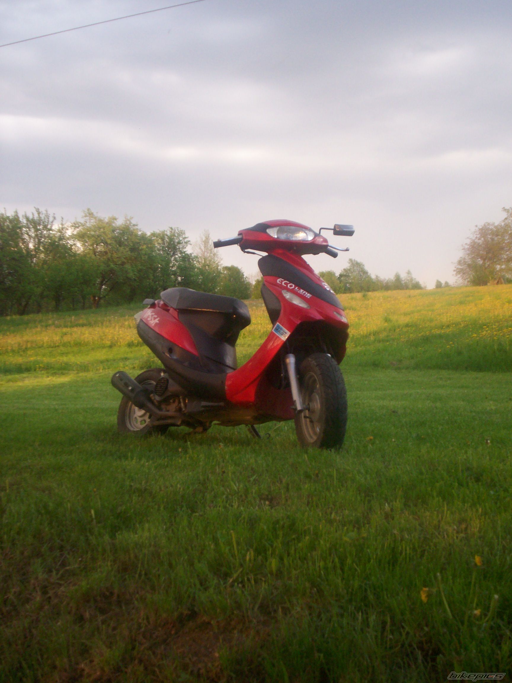 Photo 2552950