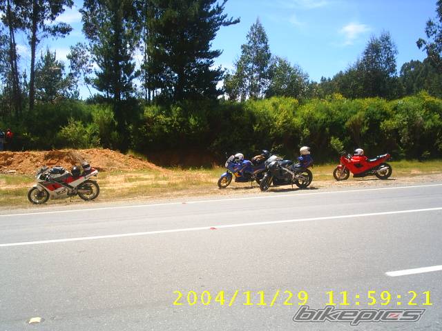 Photo 255296