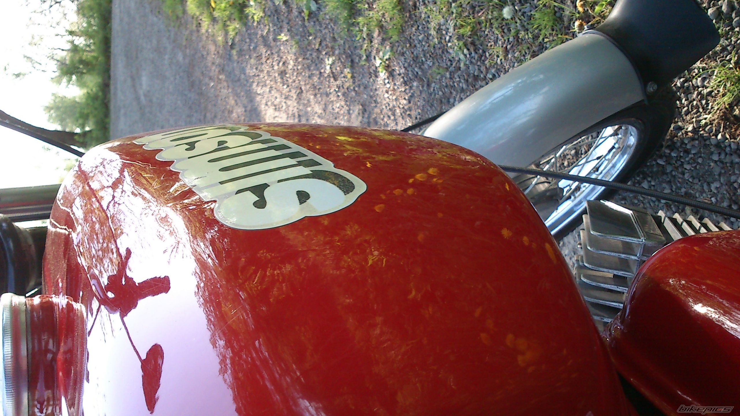 Photo 2553004