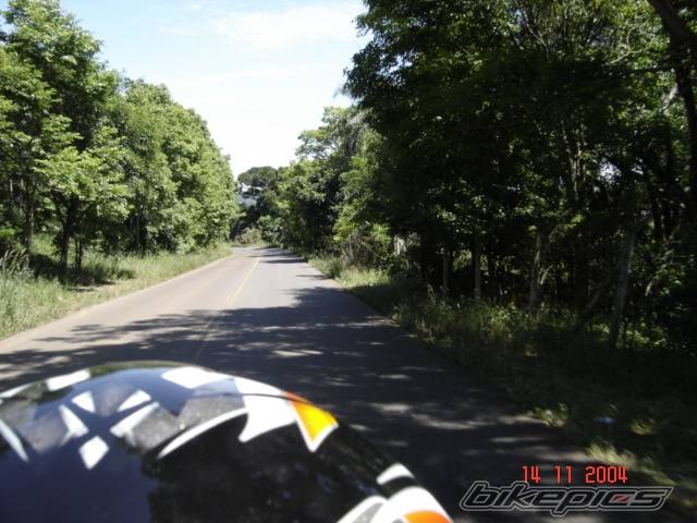 Photo 255304