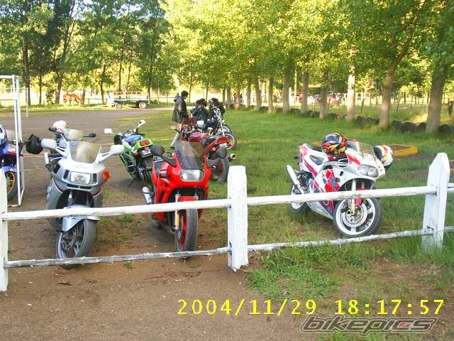 Photo 255309