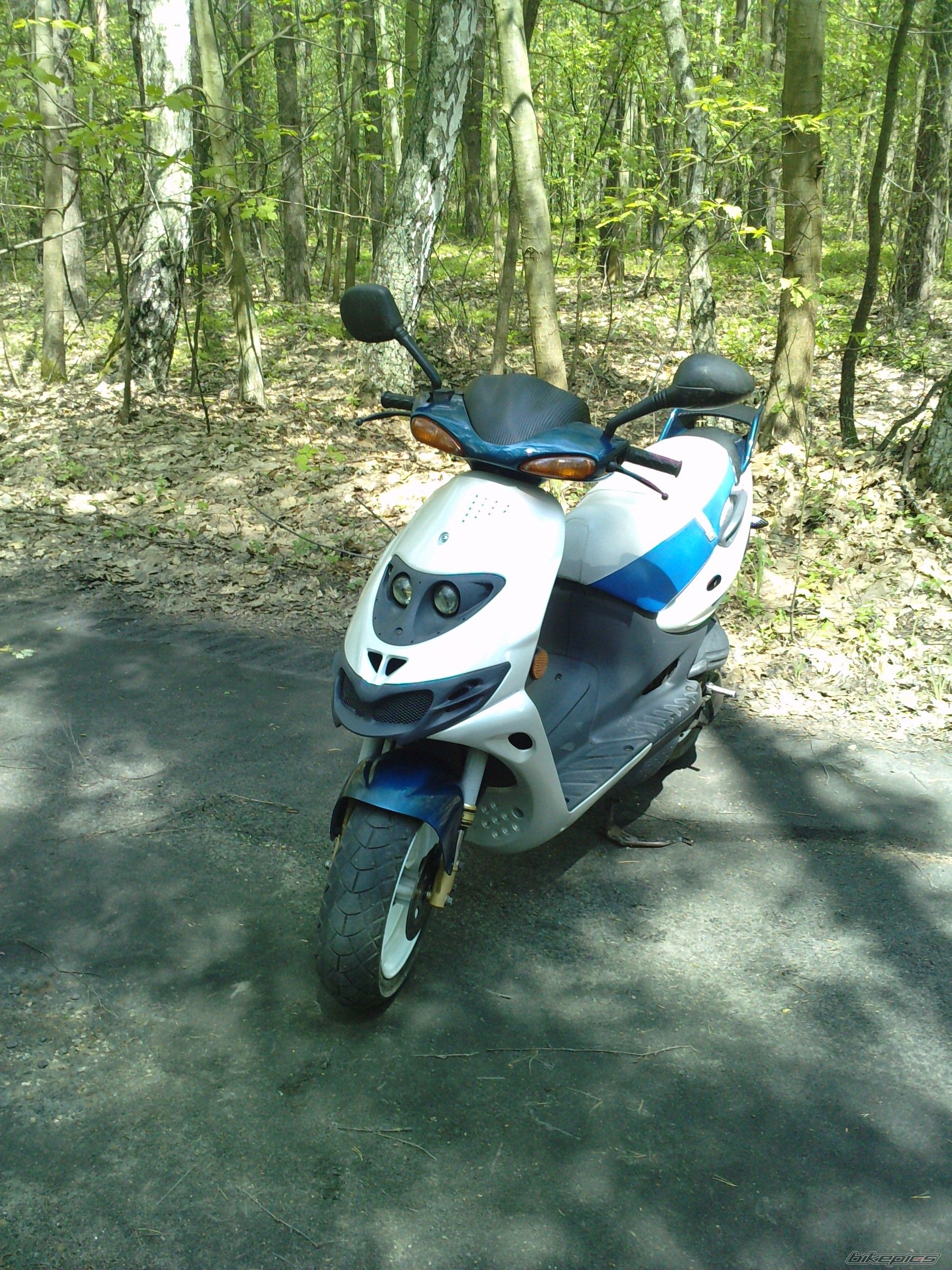 Photo 2553193