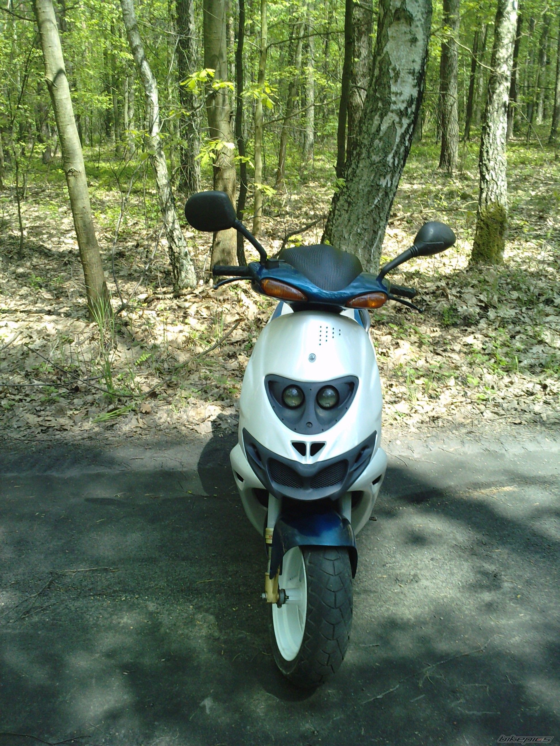 Photo 2553197