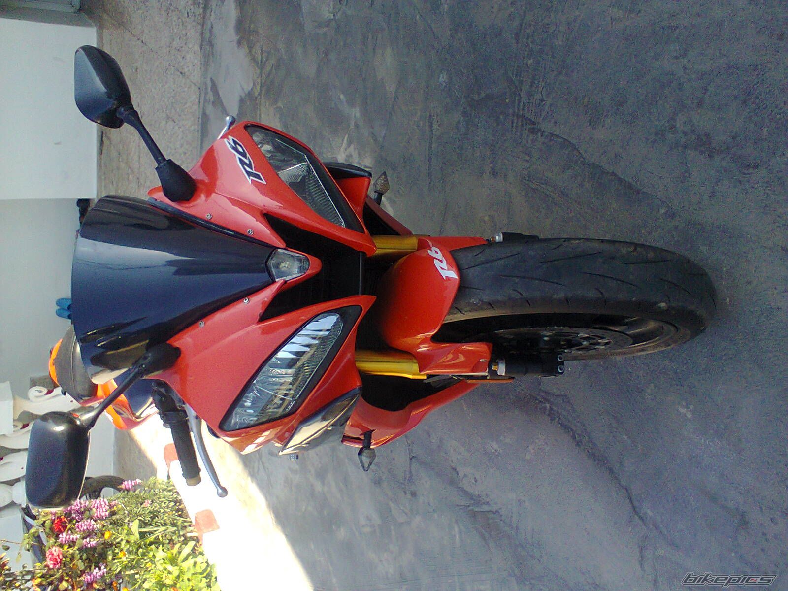 Photo 2553255