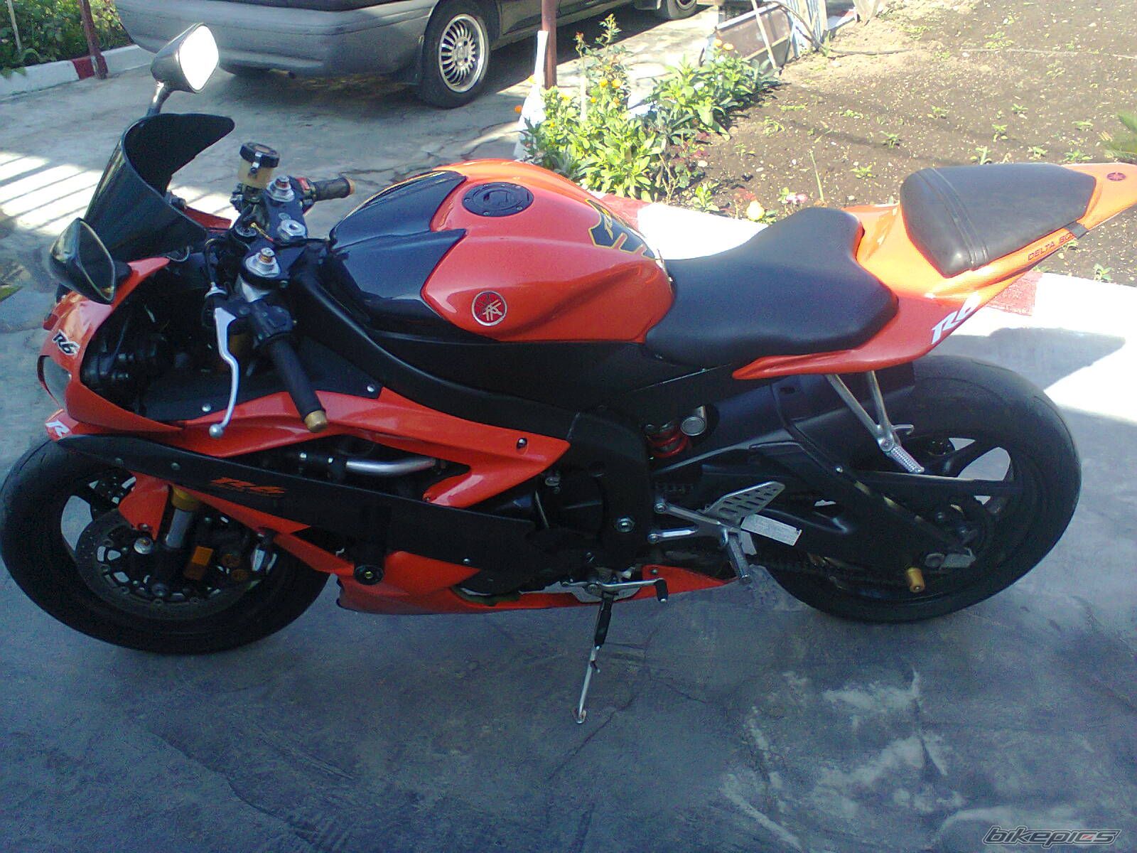 Photo 2553256