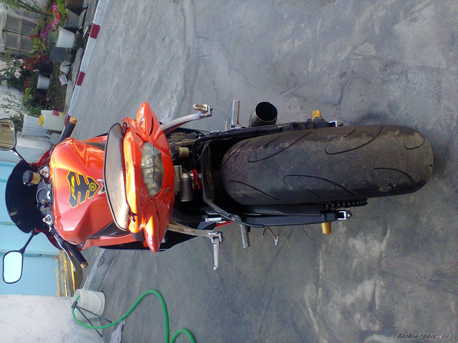 Photo 2553257