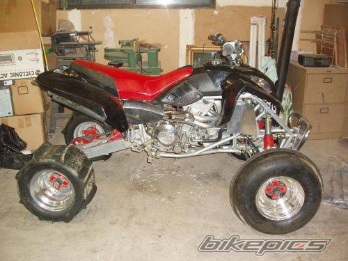 Photo 255329