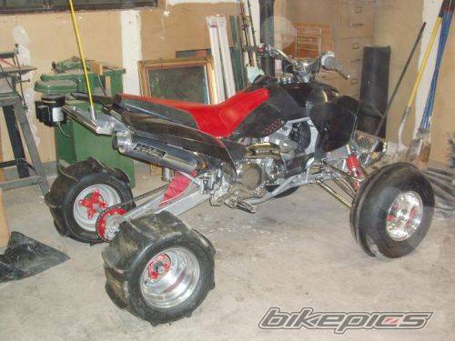 Photo 255330