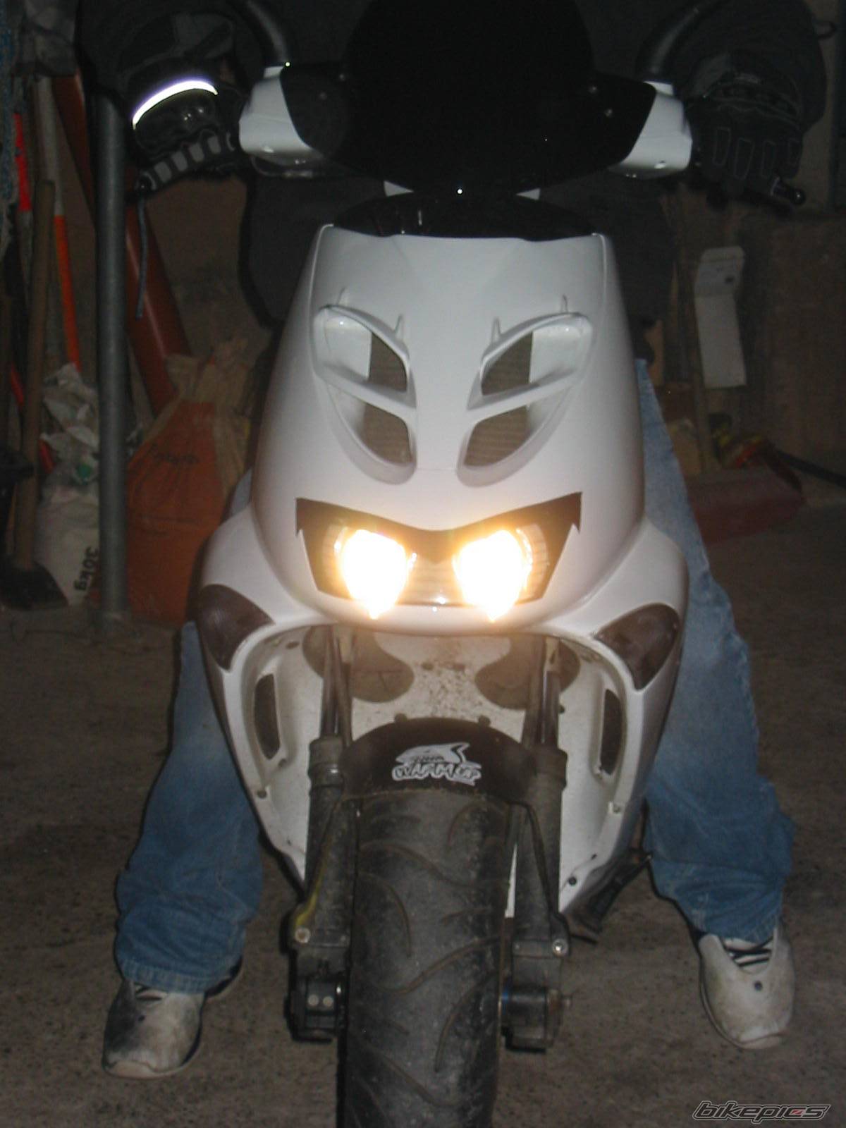 Photo 255336
