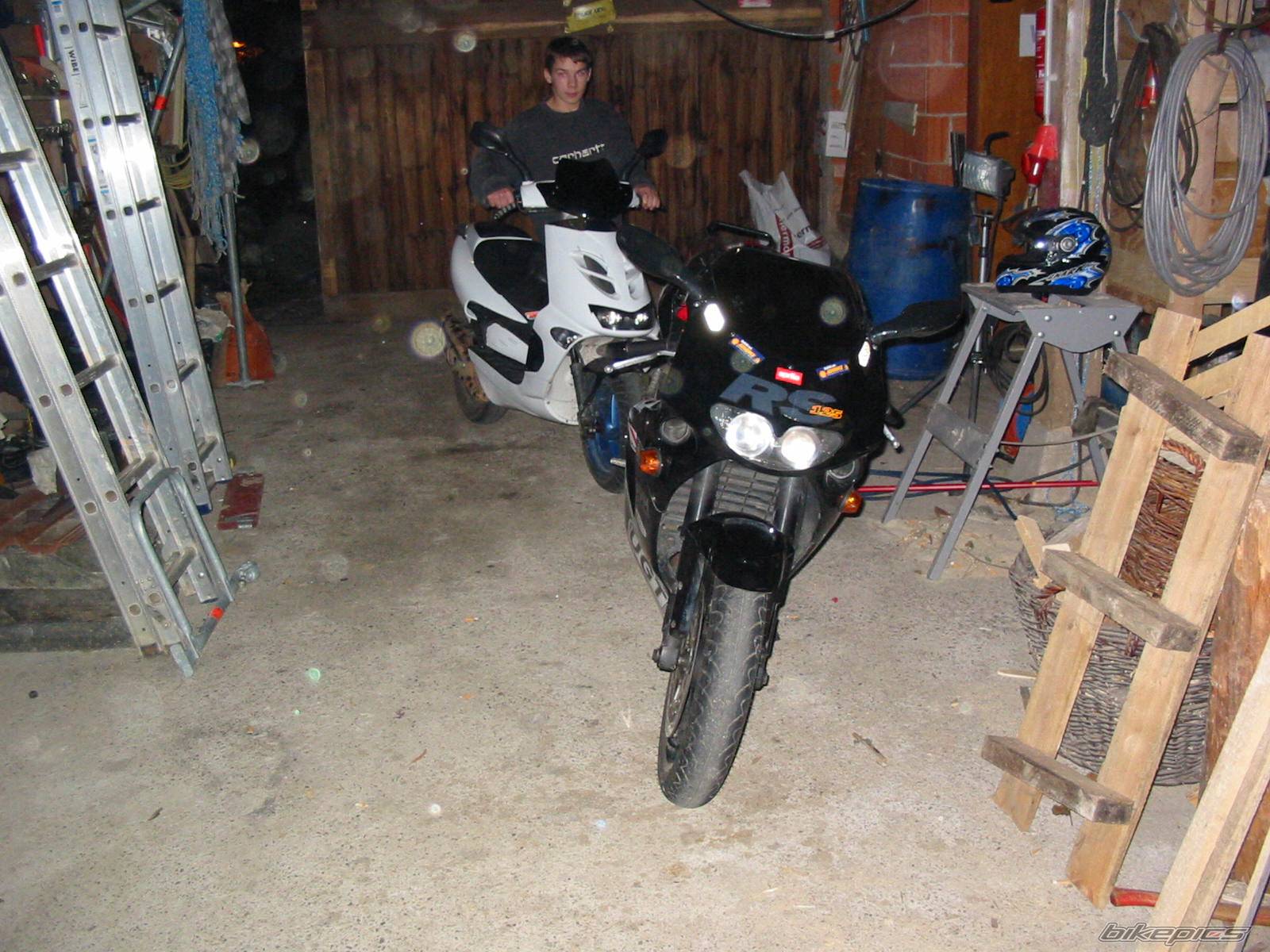 Photo 255337