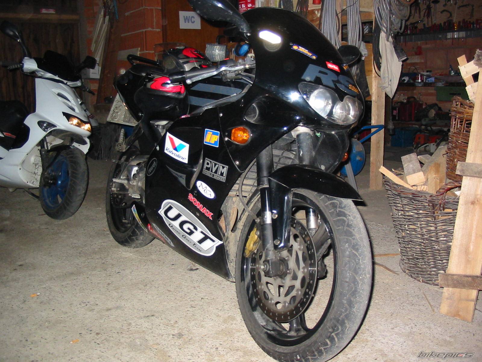 Photo 255339