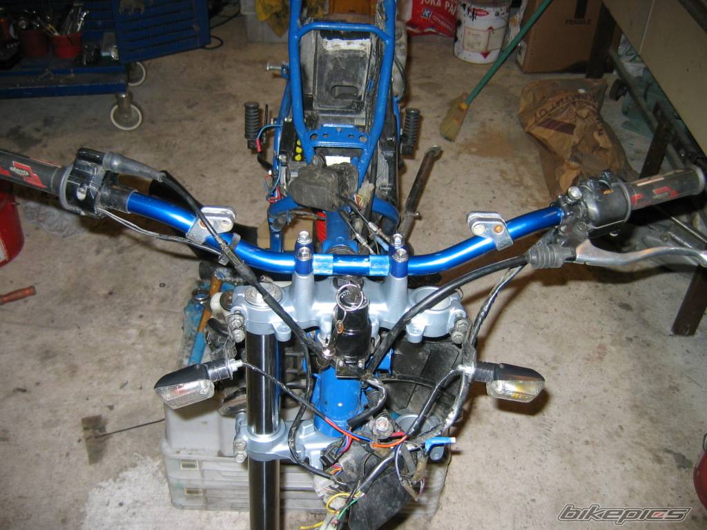 Photo 255342
