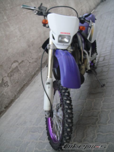 Photo 2553442