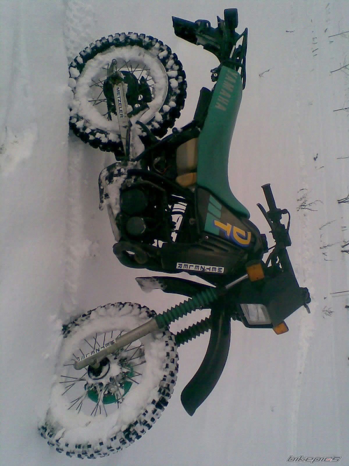 Photo 2553496