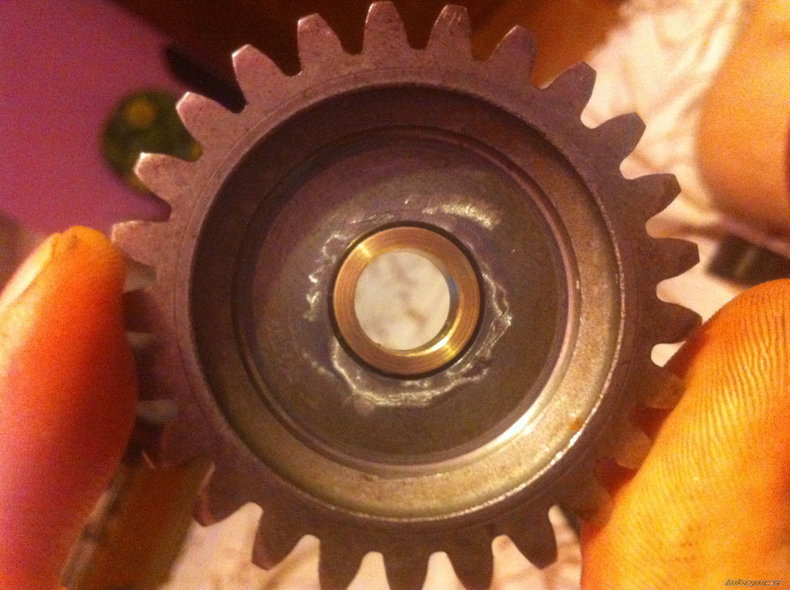 Photo 2553526