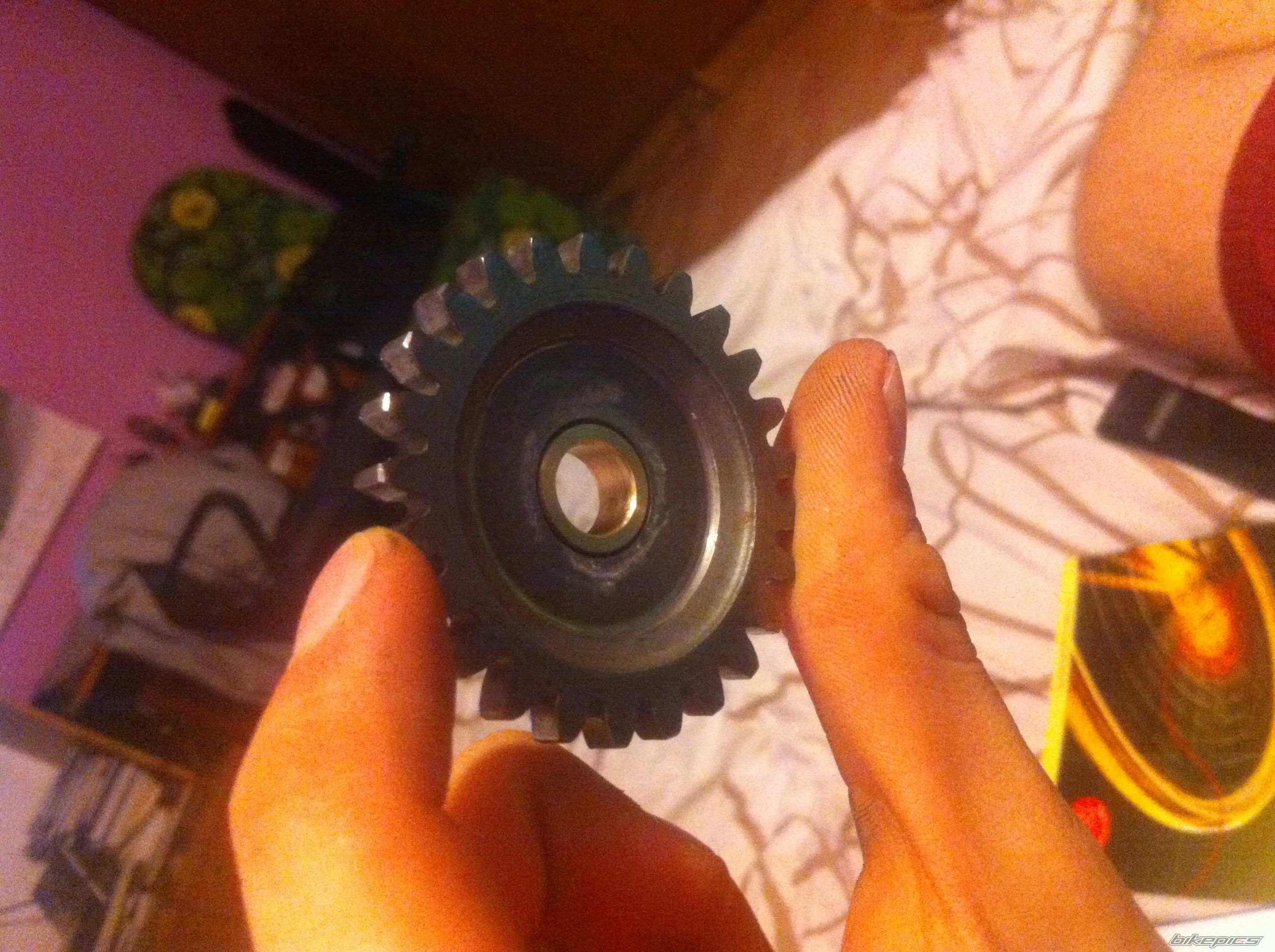 Photo 2553527