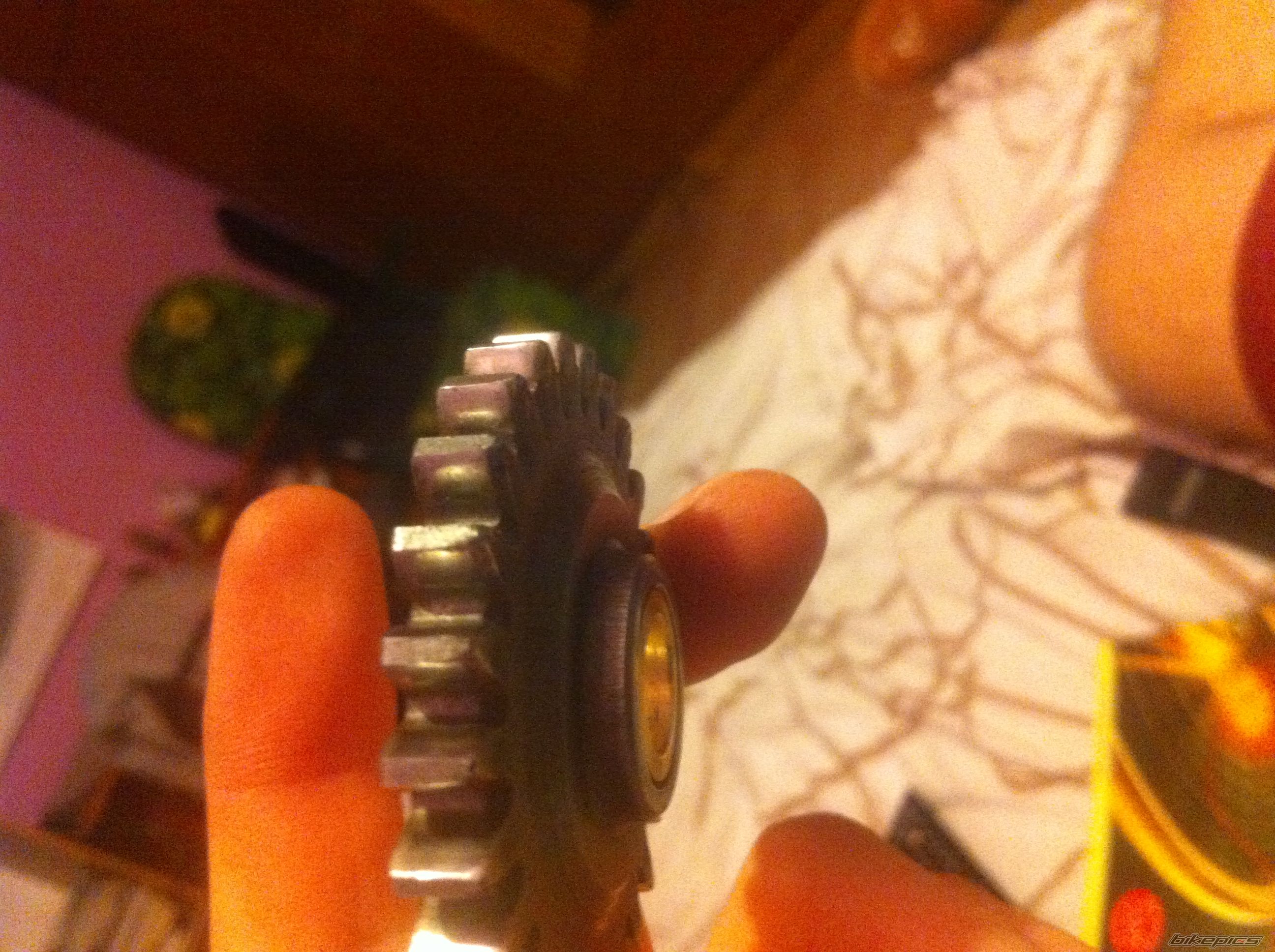 Photo 2553529