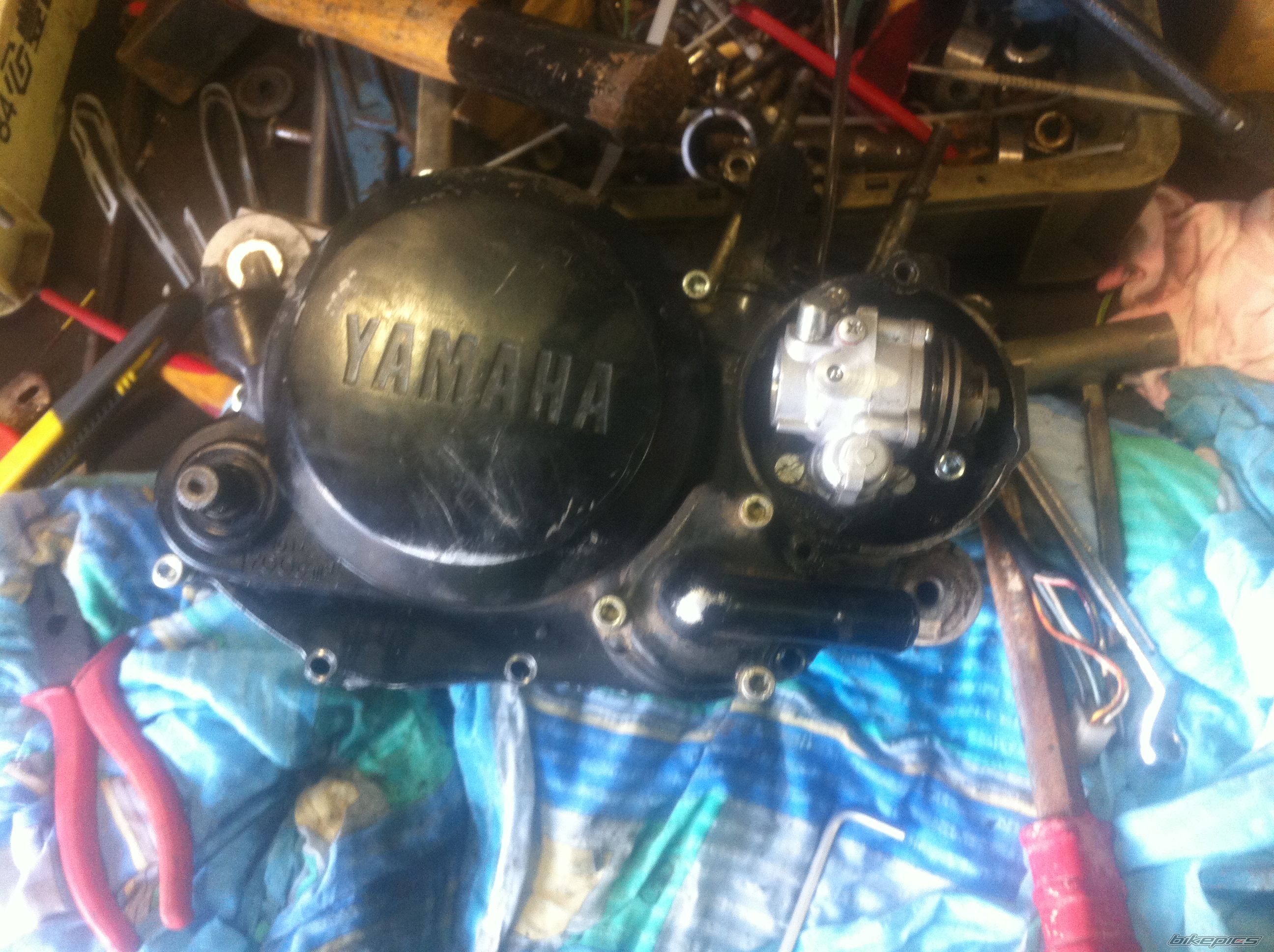 Photo 2553531