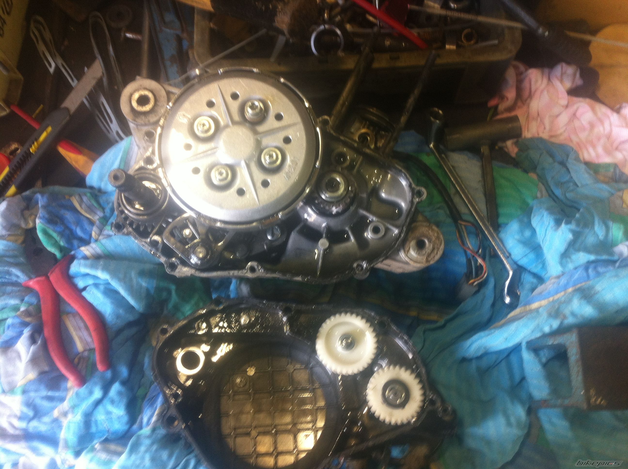 Photo 2553532