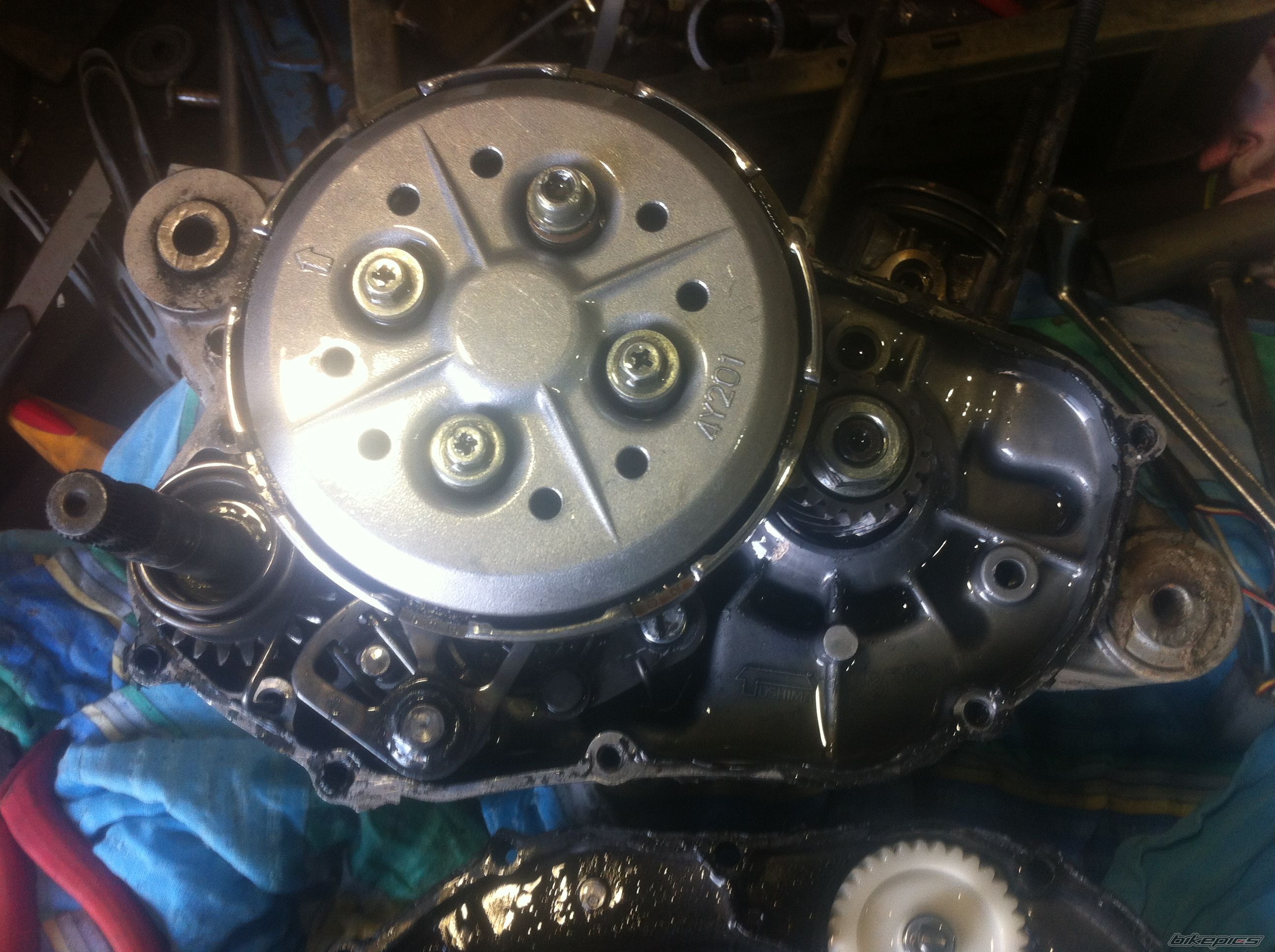 Photo 2553533