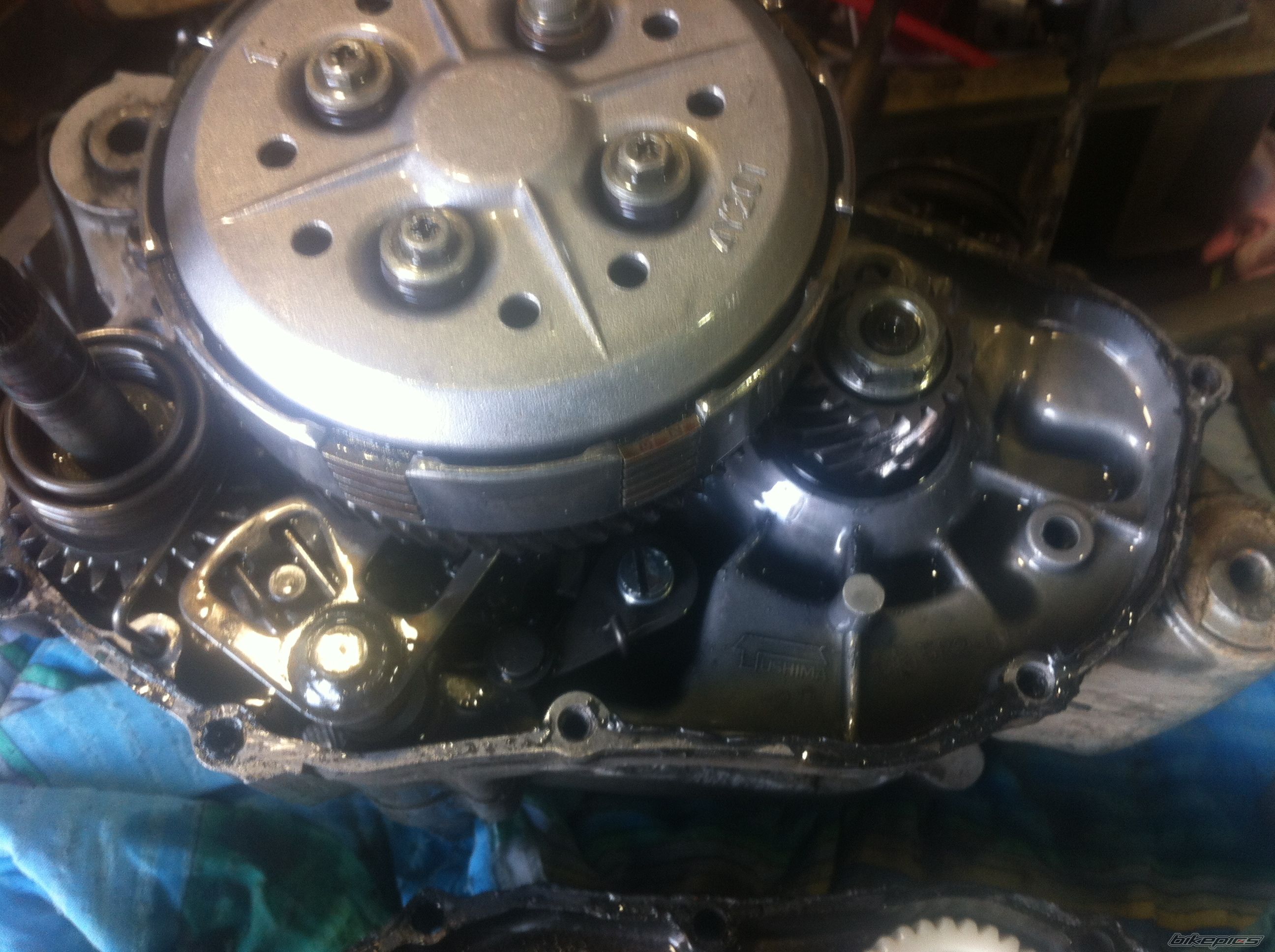 Photo 2553535