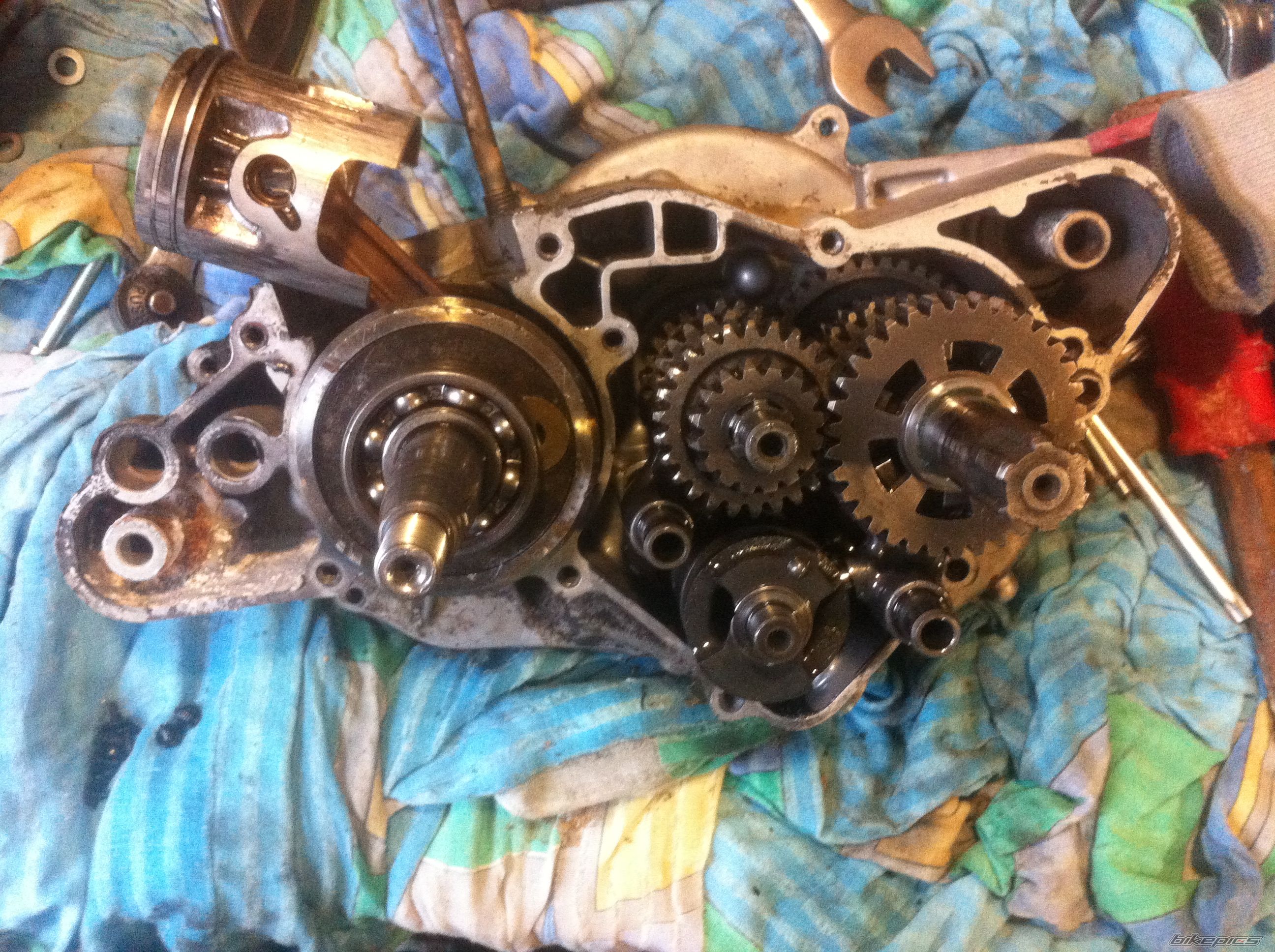 Photo 2553540